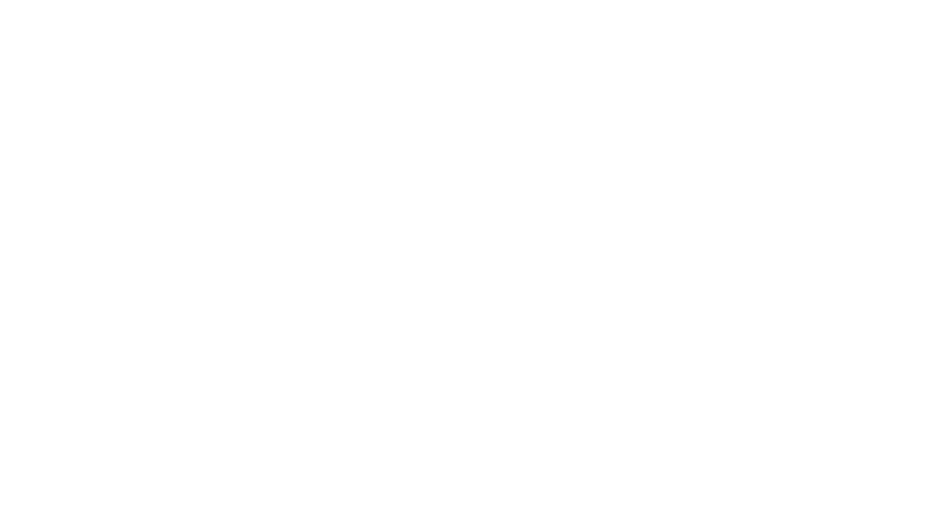 Race Culture